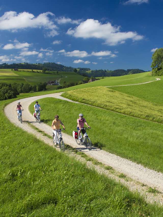 Die Herzschlaufen Die Herzschlaufen