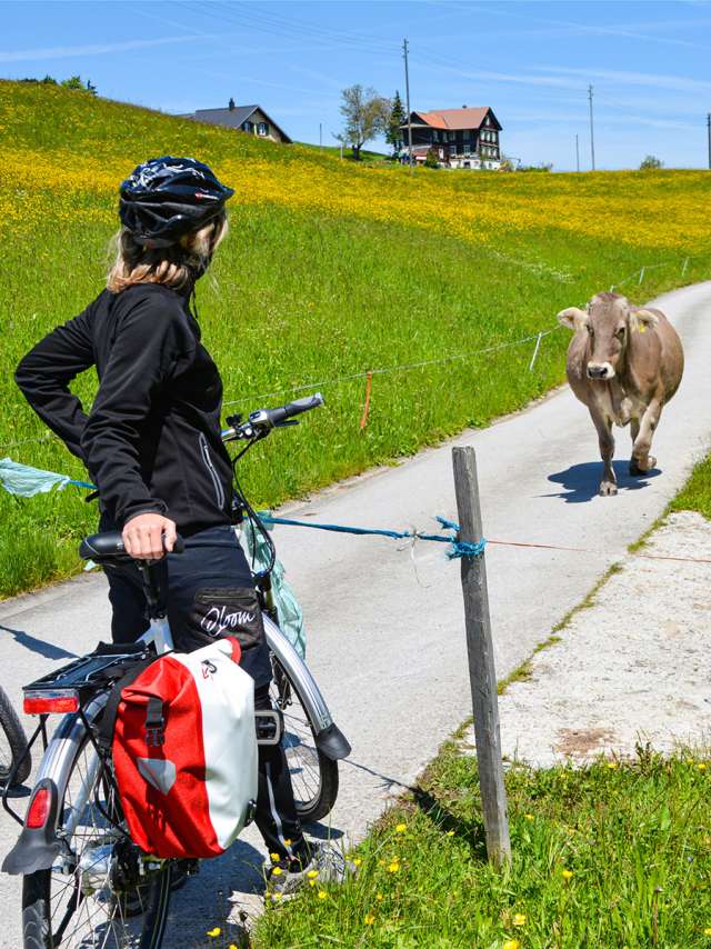 10 Hinweise 10 Hinweise